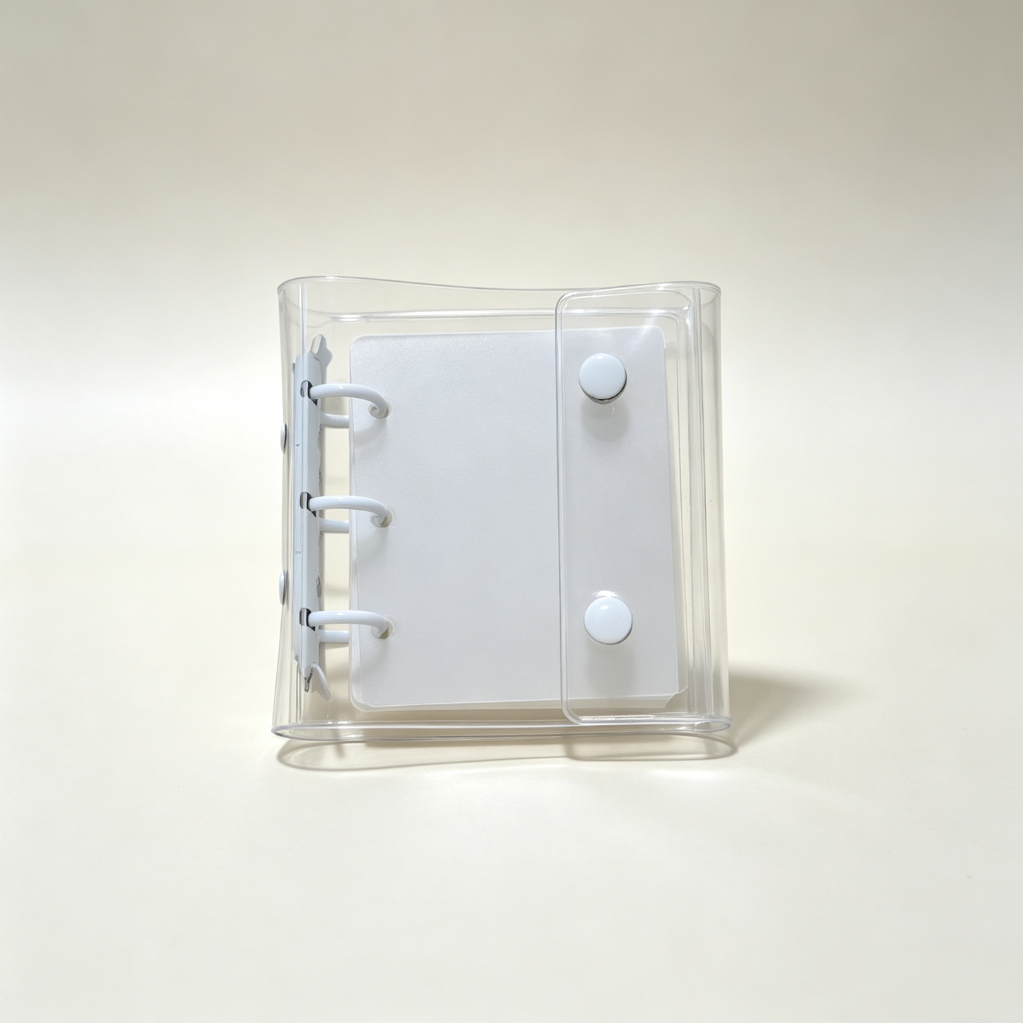 nailva Nail  Display Book Album