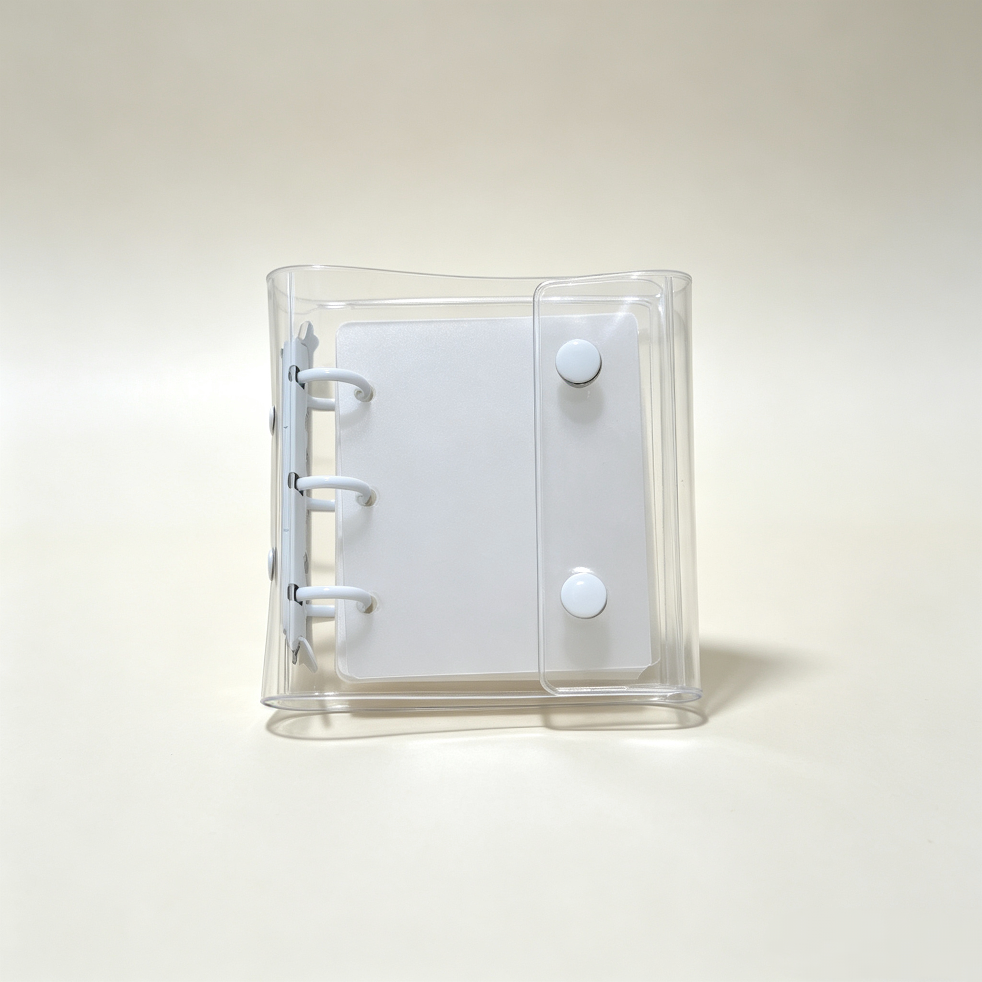 nailva Nail  Display Book Album