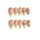 nailva Ivory Twist